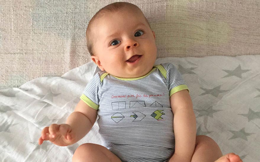 13513240 Step Image 0