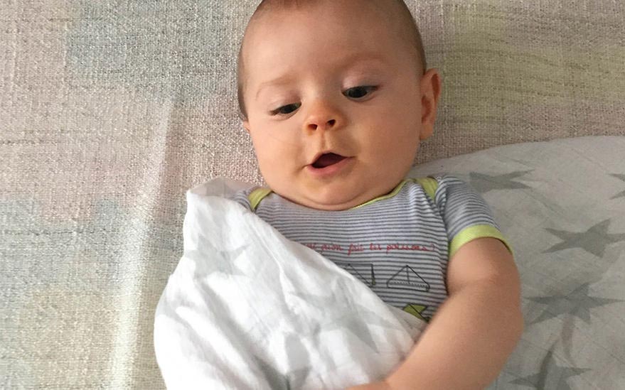 13513240 Step Image 1