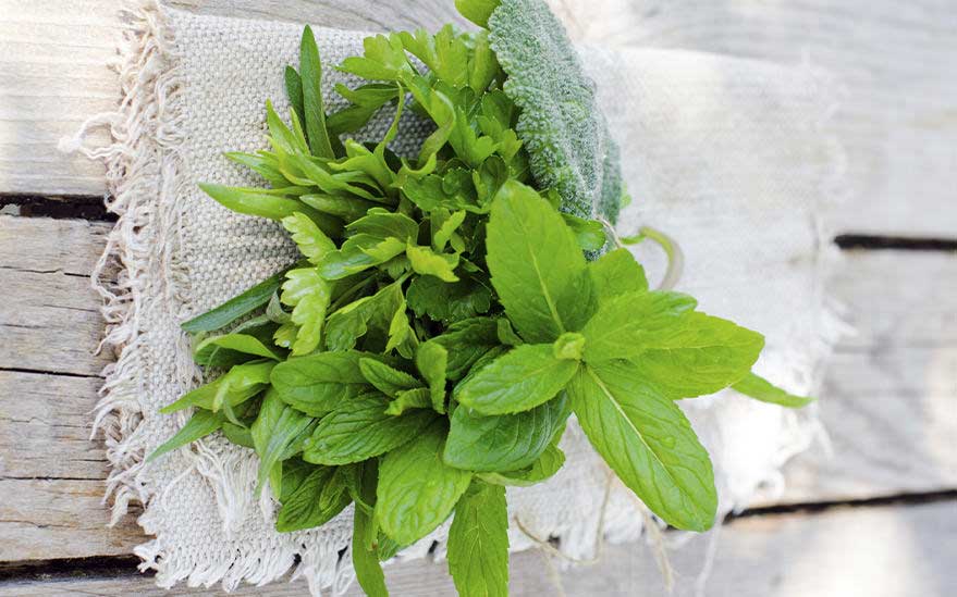 13667295 Step Image 0