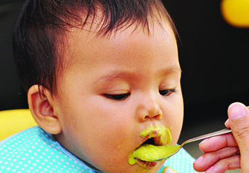 L'entrée en scène des céréales et des protéines