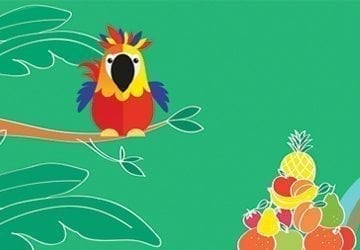 L’histoire de Coco le perroquet