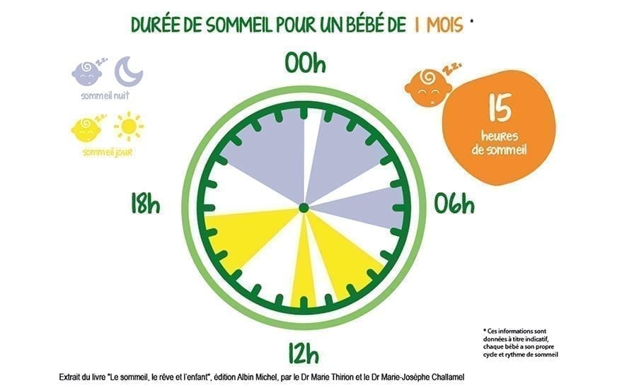 17317784 Step Image New 1