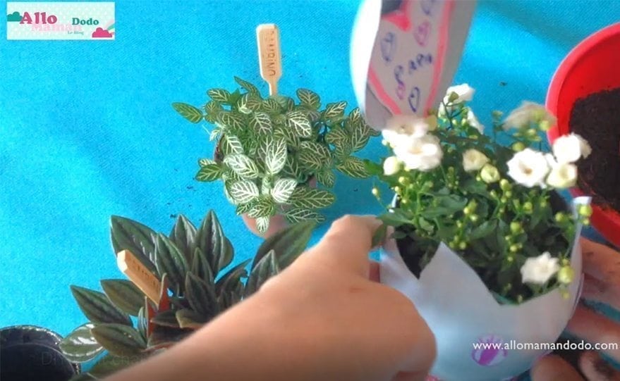 17333377 Step Image New 4