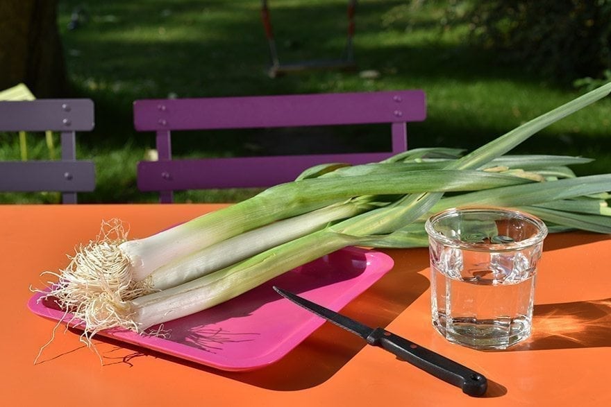 4169838103 Step Image New 0