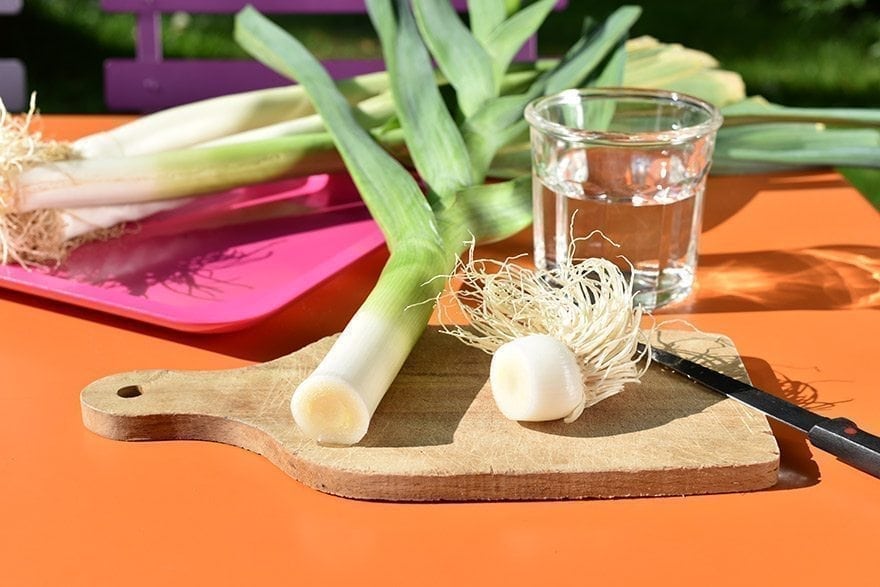 4169838103 Step Image New 1