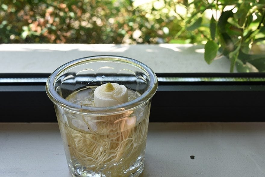 4169838103 Step Image New 3