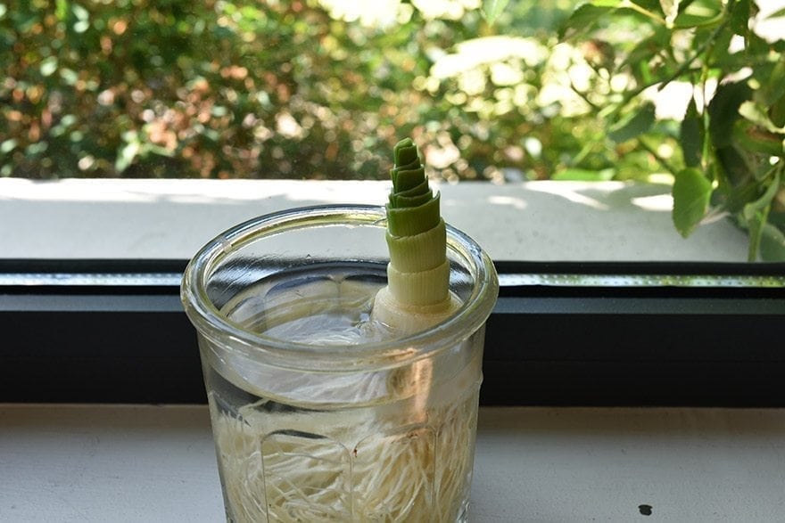 4169838103 Step Image New 4