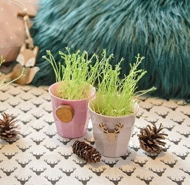 Une pensée pour les rennes