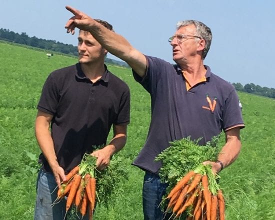 De l’art de cuire les carottes