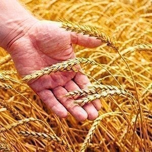 13575467 html image 4