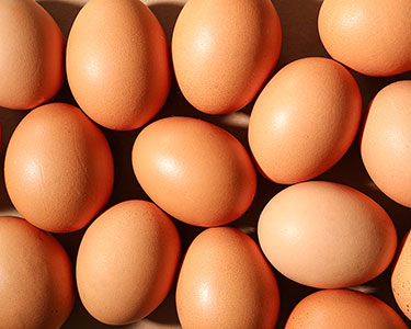 L'allergie aux oeufs chez bébé